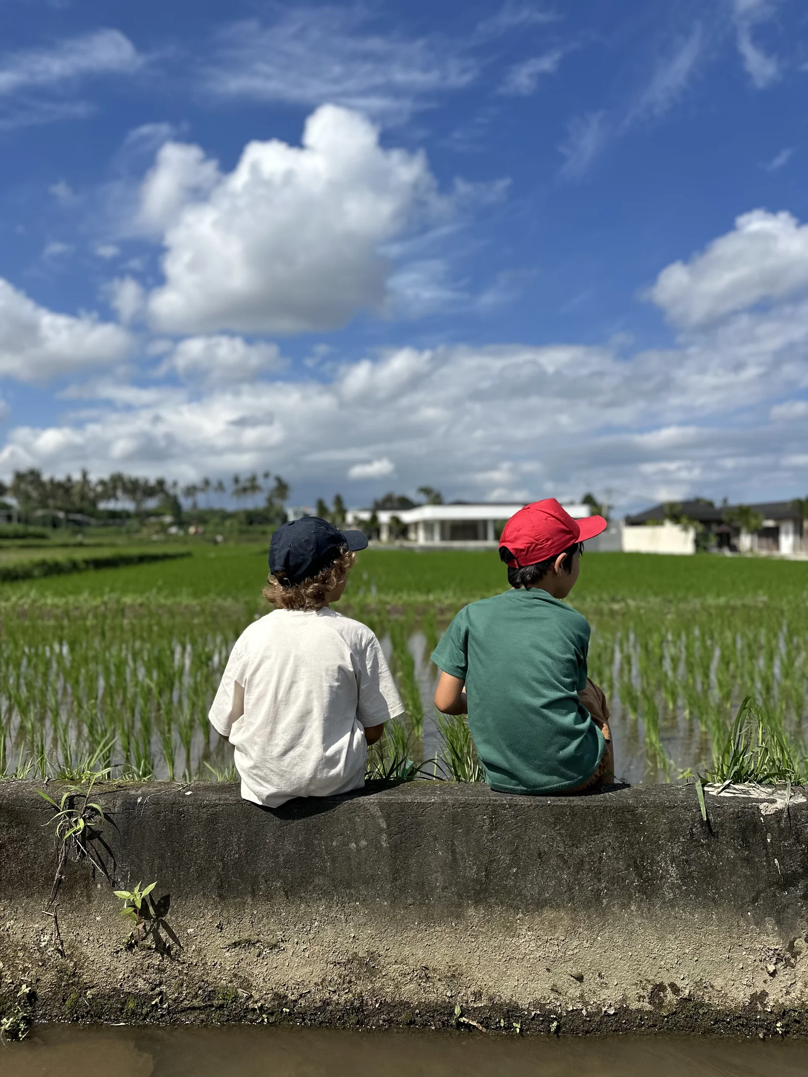 Sunny Kids Moment 109